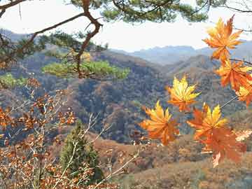 全国供卵试管医院排名：ä¸æµ·åæ¬£çæ®ä¸­å¿平台对比三大机构